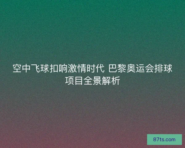 空中飞球扣响激情时代 巴黎奥运会排球项目全景解析